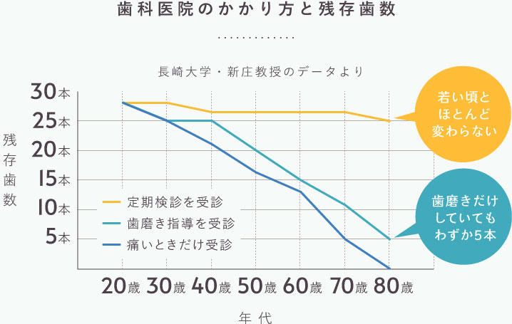 歯科医院のかかり方と残存歯数